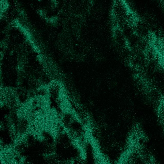Velvet